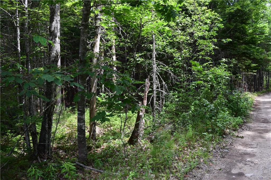 0 Sand Beach Road Sullivan, ME 04664 - Photo 2 of 2 Photo