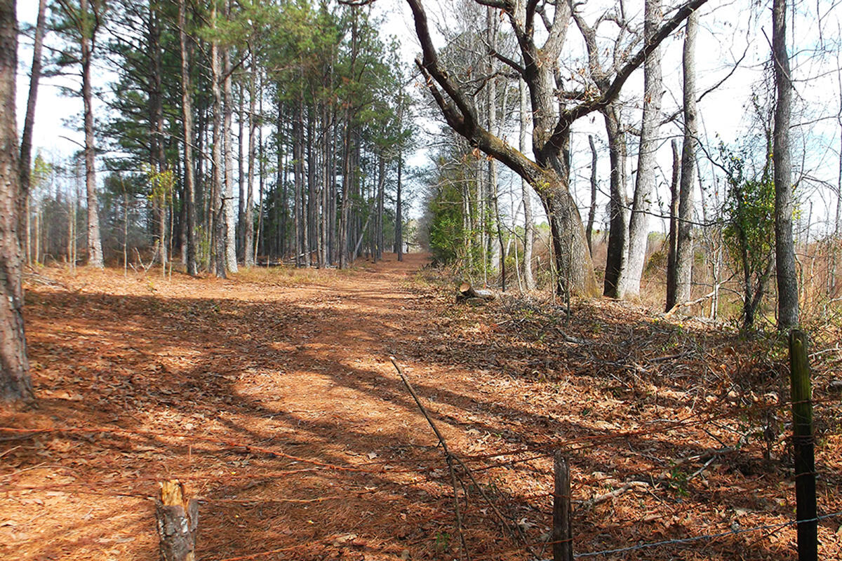 4130 Whitaker Road Harlem, GA 30814 - Photo 4 of 33 CopeMcd0005