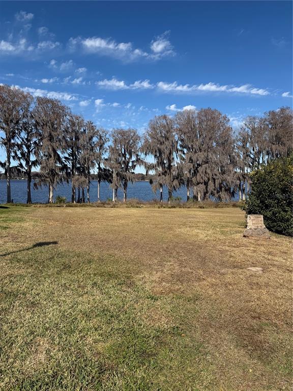 550 San Remo Circle Inverness, FL 34450 - Photo 3 of 6 a view of a yard