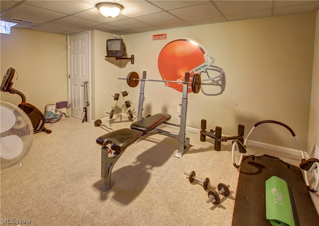 37419 Barres Road North Ridgeville, OH 44039 - Photo 32 of 35 Gallery Image 32