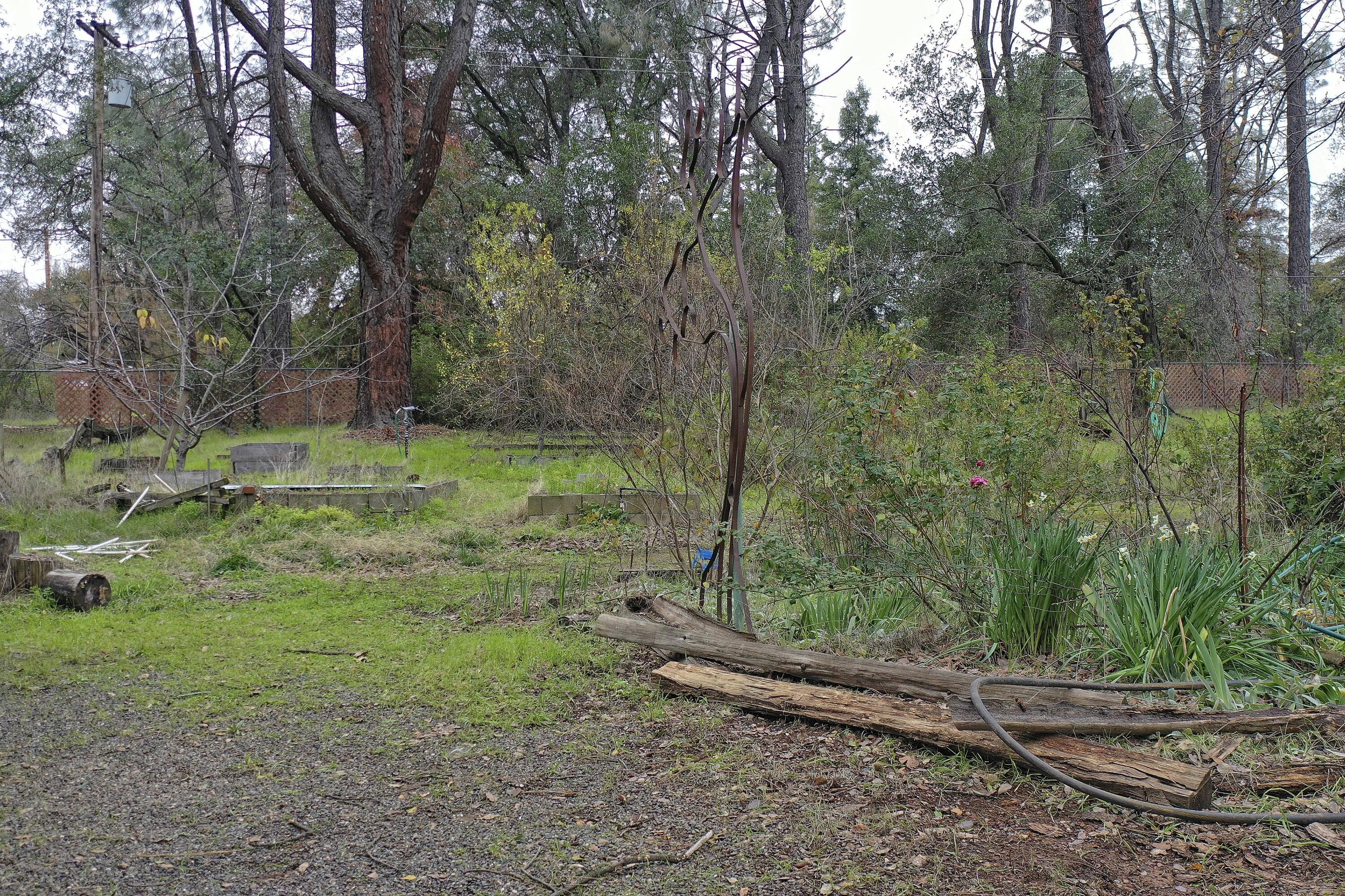 8440 Redbank Road Redding, CA 96001 - Photo 14 of 49 a big yard with lots of green space and deers