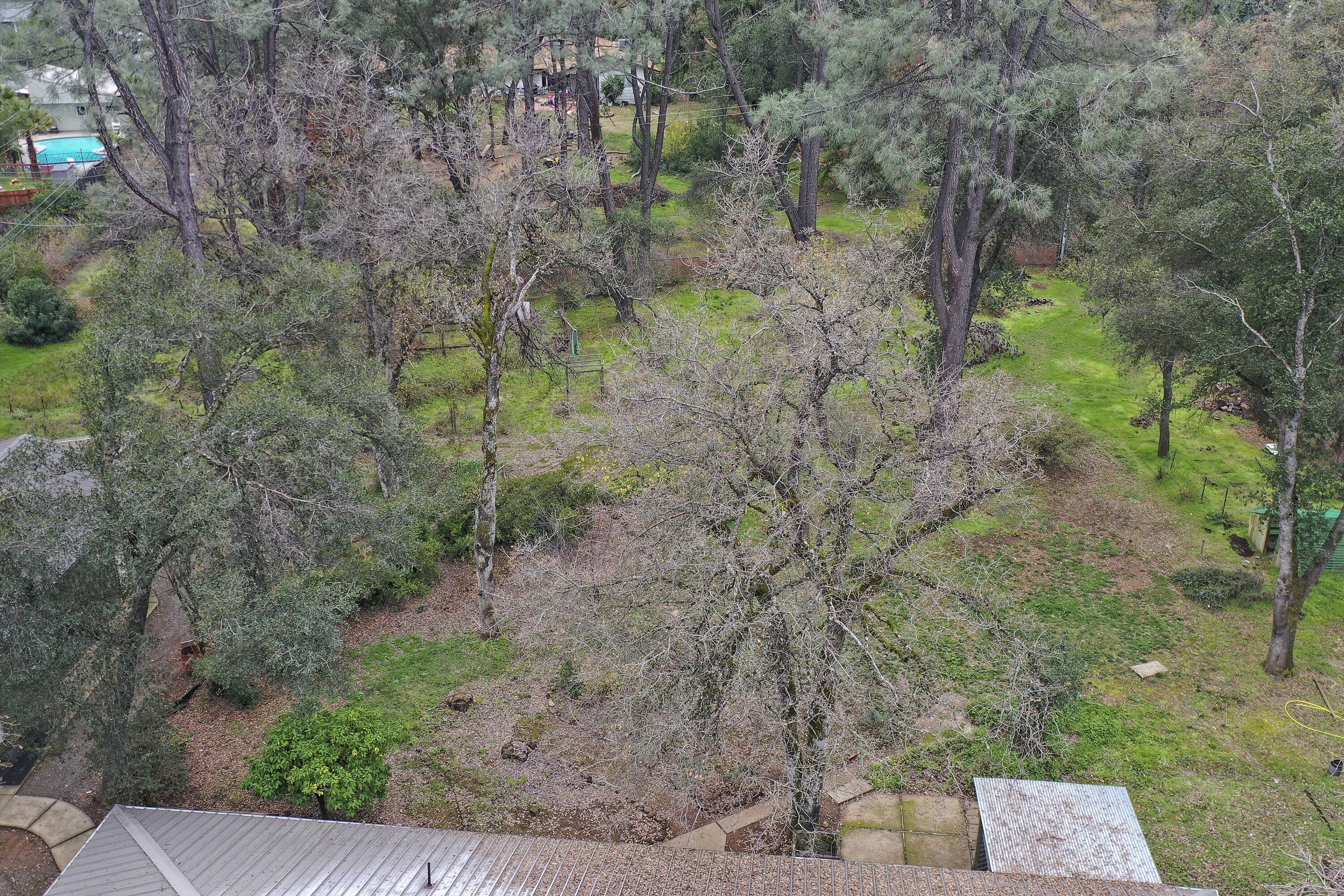 8440 Redbank Road Redding, CA 96001 - Photo 3 of 49 a view of a yard with plants and large trees