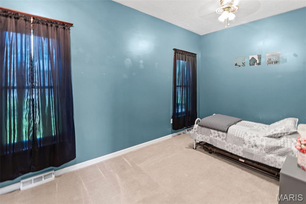 116 South 6th Street New Douglas, IL 62074 - Photo 17 of 45