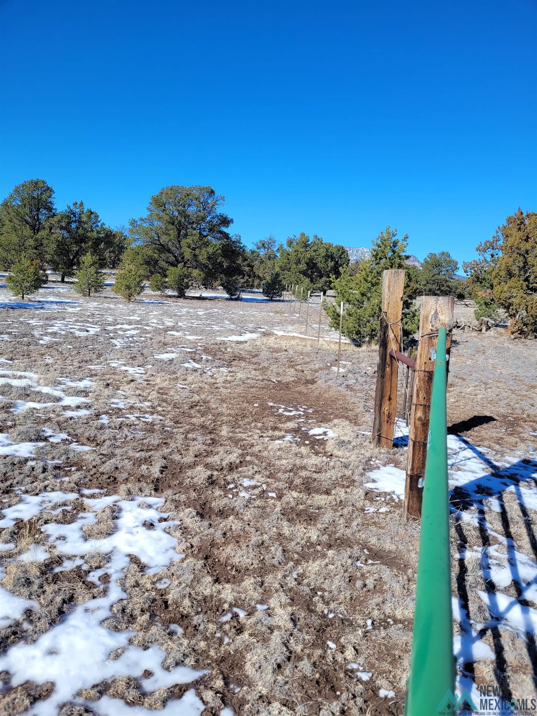 1 Jackass Lane, Unit 1 Datil, NM 87821 - Photo 34 of 46 Gallery Image 34