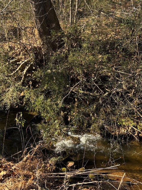 173 Glendale Lane Easley, SC 29640 - Photo 3 of 20