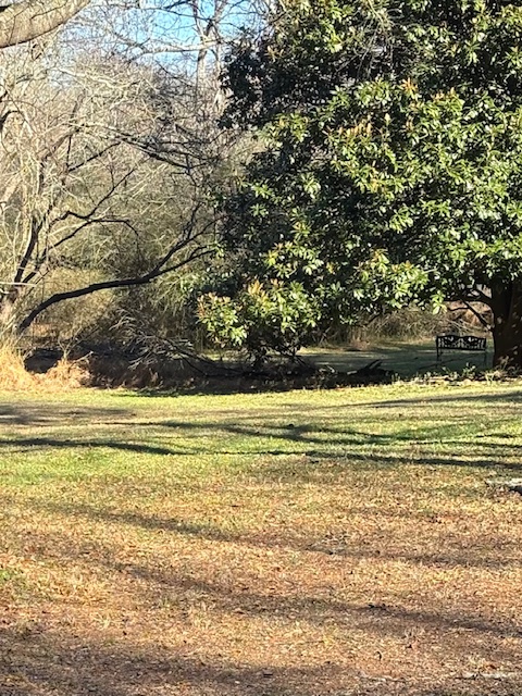 173 Glendale Lane Easley, SC 29640 - Photo 4 of 20