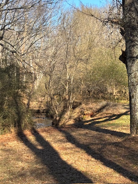 173 Glendale Lane Easley, SC 29640 - Photo 5 of 20