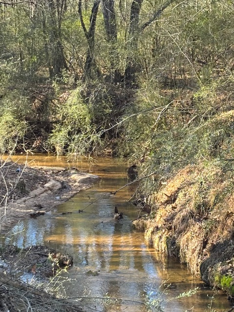 173 Glendale Lane Easley, SC 29640 - Photo 7 of 20