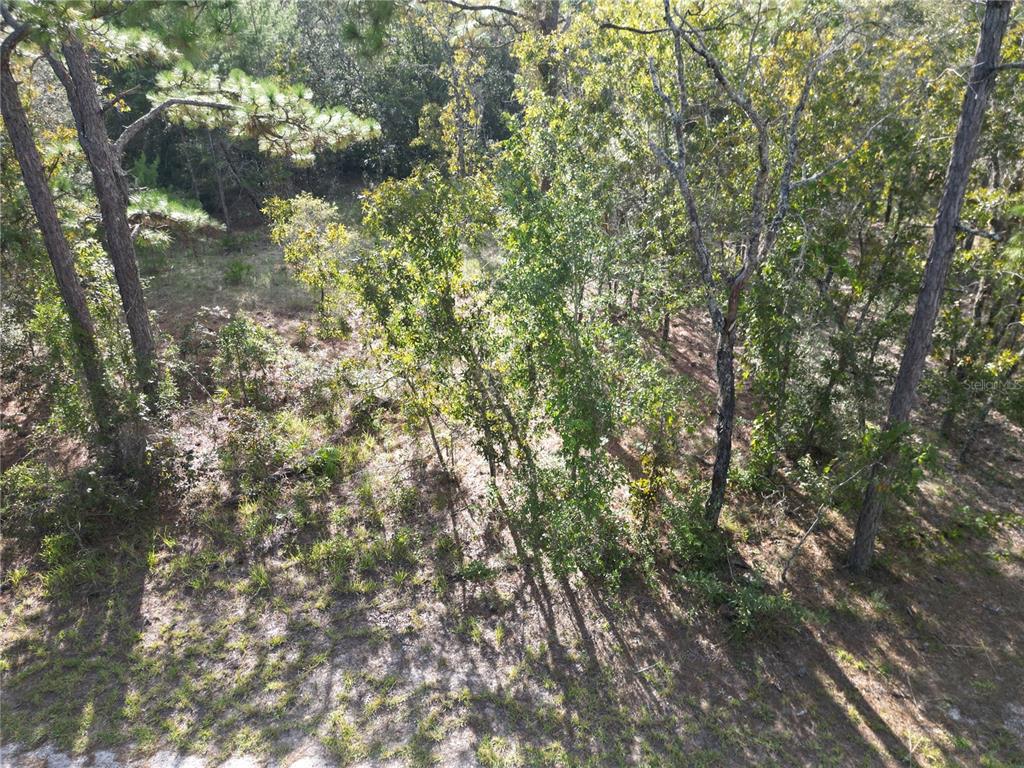 Grove Road Brooksville, FL 34614 - Photo 9 of 21 Gallery Image 9