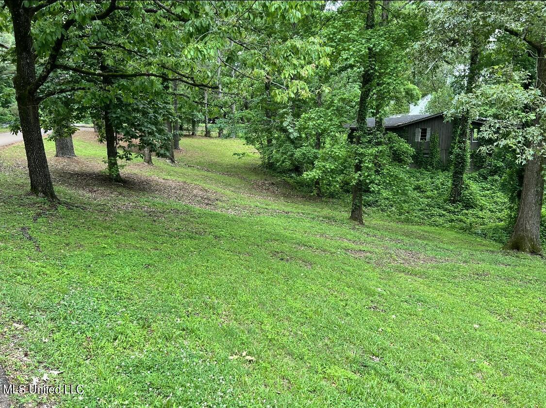 10893 High Road Hernando, MS 38632 - Photo 3 of 12 IMG-2140