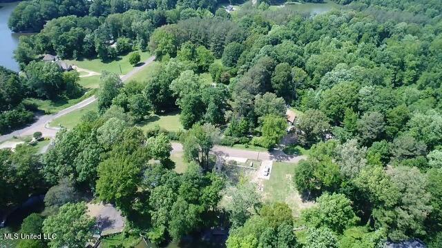 10893 High Road Hernando, MS 38632 - Photo 5 of 12 IMG-3438 (1)