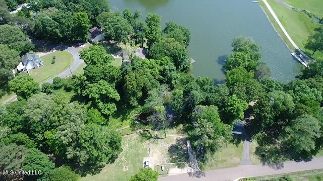 10893 High Road Hernando, MS 38632 - Photo 7 of 12 IMG-3440 (1)