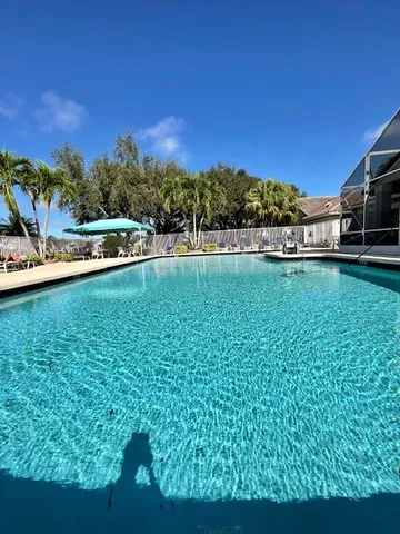 a view of a yard with plants