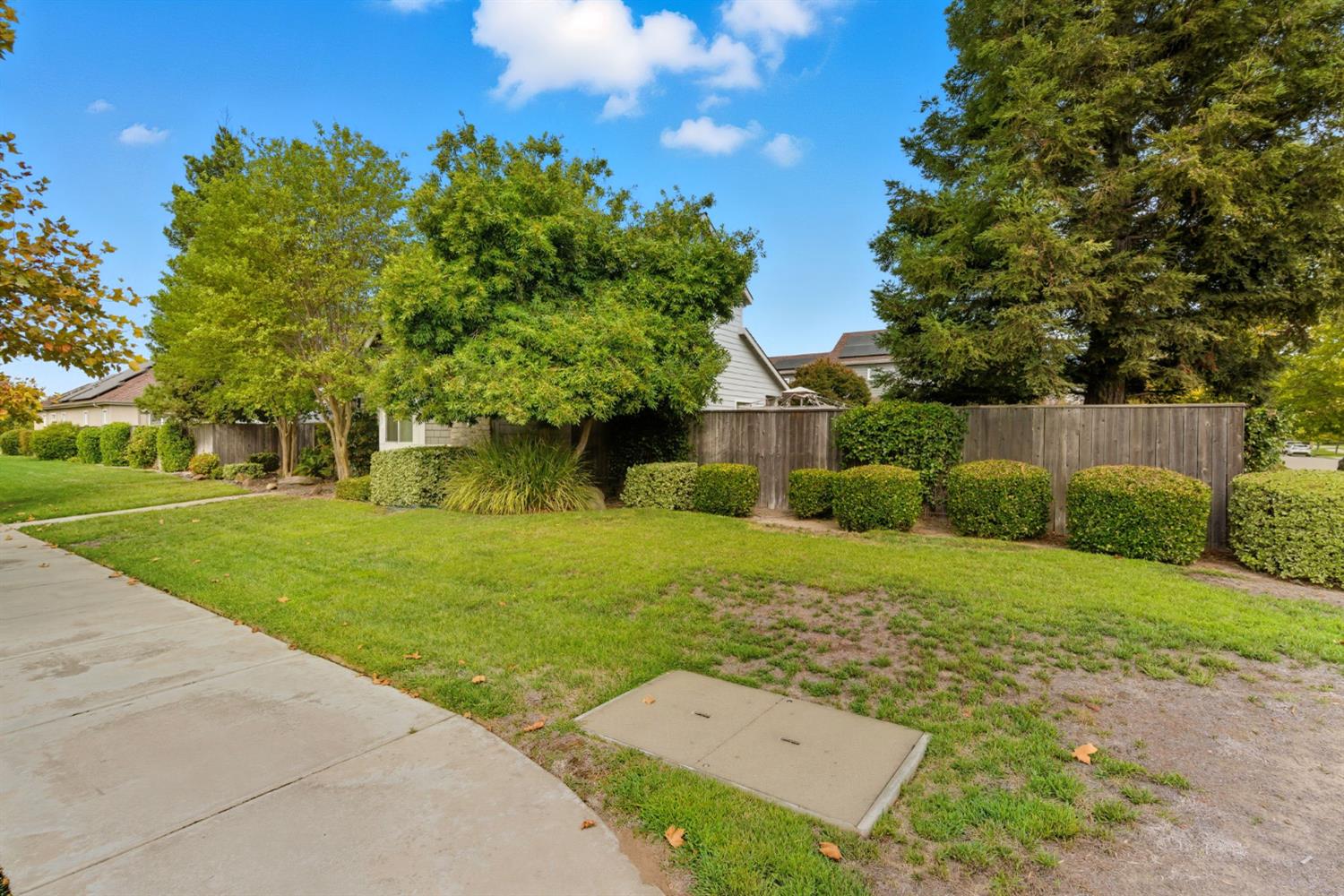 433 Travertine Drive Ripon, CA 95366 - Photo 38 of 38 front view of a house with a yard