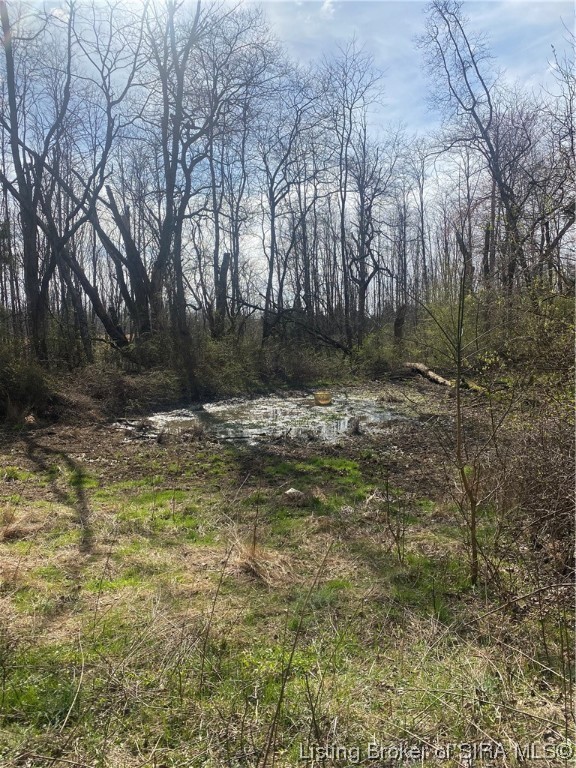 1050 West Purlee Road Salem, IN 47167 - Photo 10 of 26