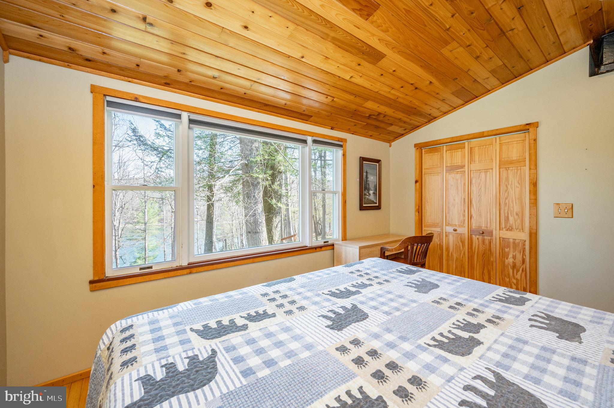 410 South Shore Road Swanton, MD 21561 - Photo 39 of 58