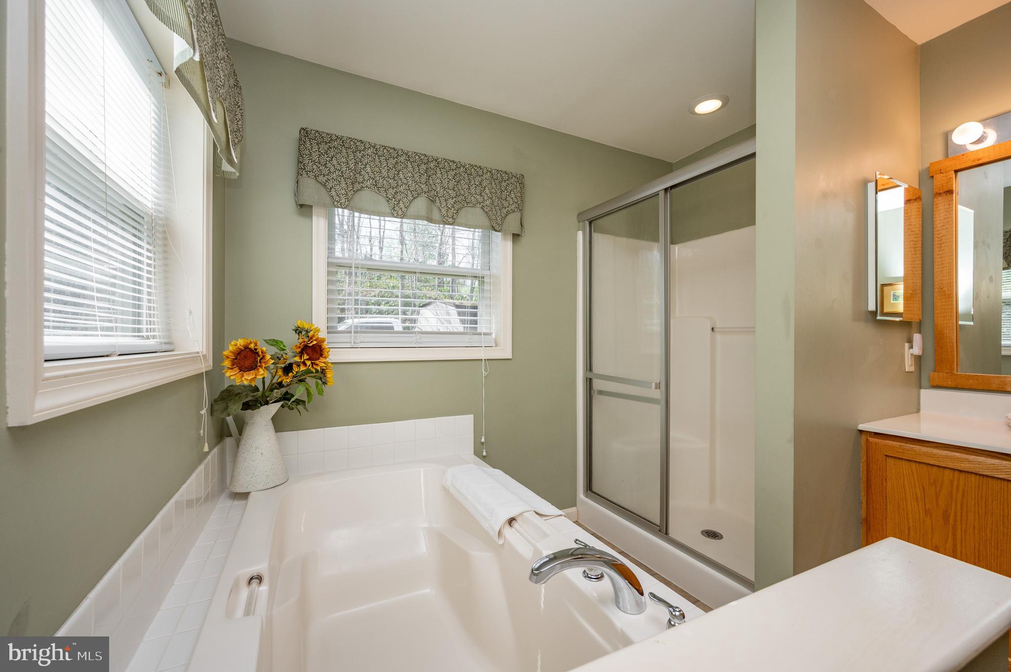 410 South Shore Road Swanton, MD 21561 - Photo 49 of 58