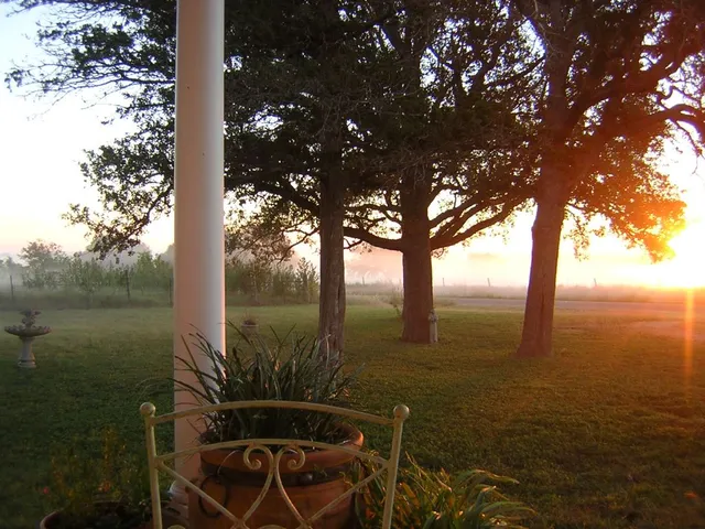 a view of a field with trees in background