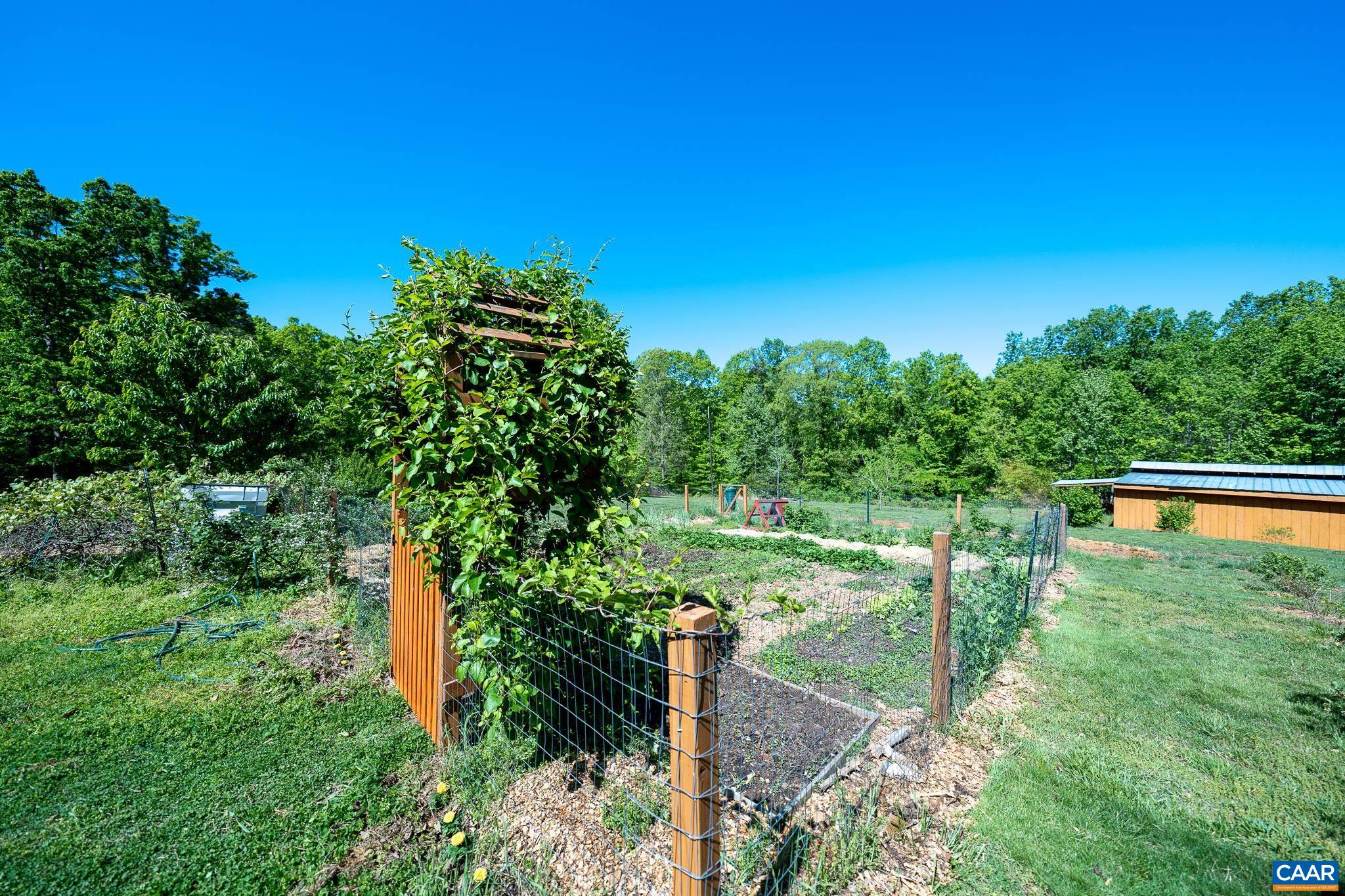 5920 Mechunk Ridge Lane Keswick, VA 22947 - Photo 36 of 49 a view of a back yard