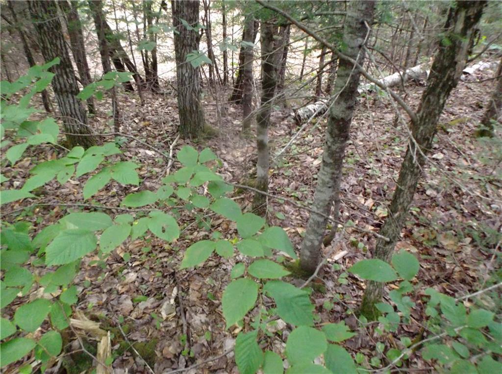 2 Brighton Road Wellington, ME 04942 - Photo 7 of 11 Photo