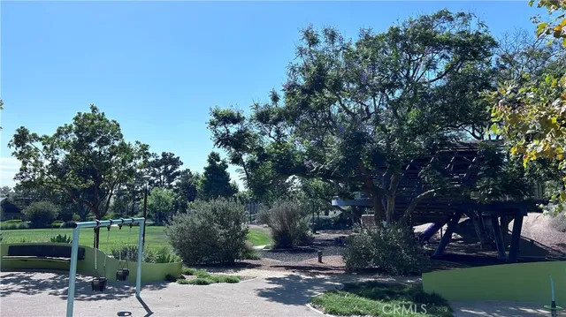 a view of a street with a tree