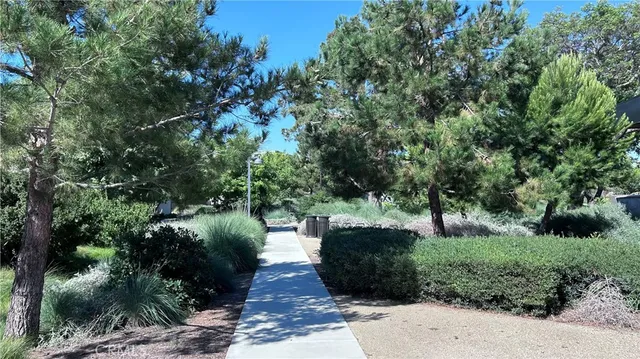 a view of grassy field with trees