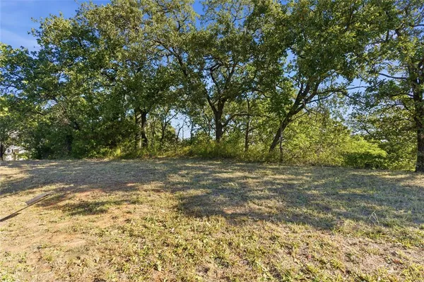a view of a yard with a tree