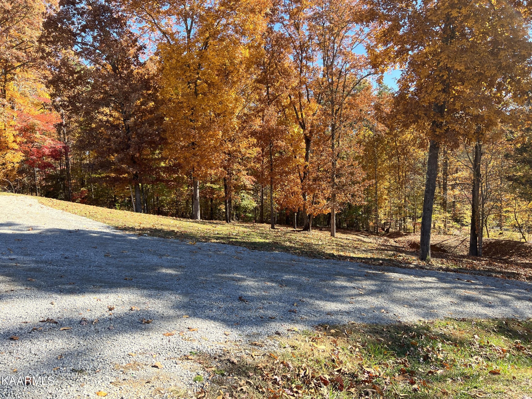 394 Ladd Ridge Road Kingston, TN 37763 - Photo 5 of 19 Gallery Image 5