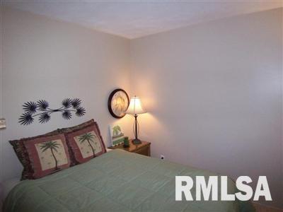 8642 Lincoln Road Fulton, IL 61252 - Photo 21 of 24