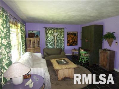 8642 Lincoln Road Fulton, IL 61252 - Photo 5 of 24