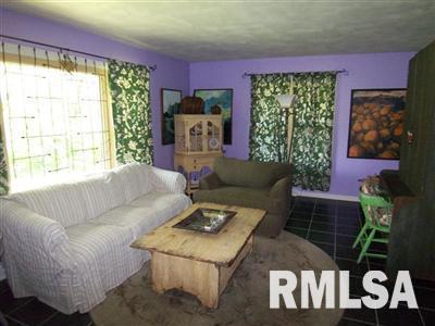 8642 Lincoln Road Fulton, IL 61252 - Photo 6 of 24