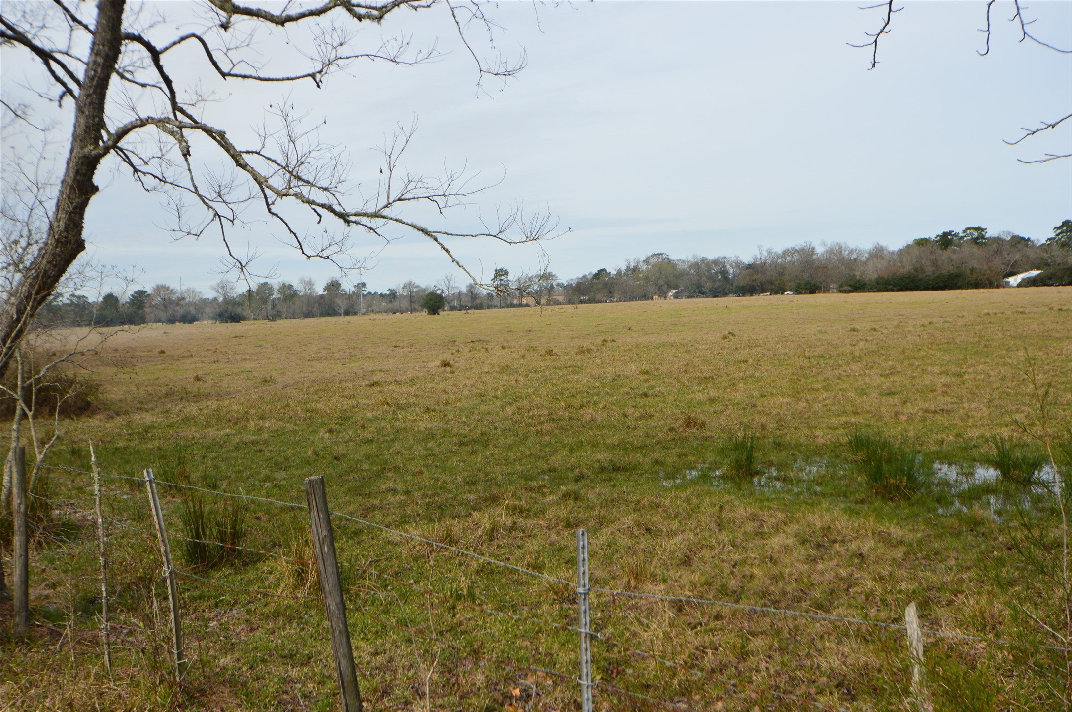a view of a lake view