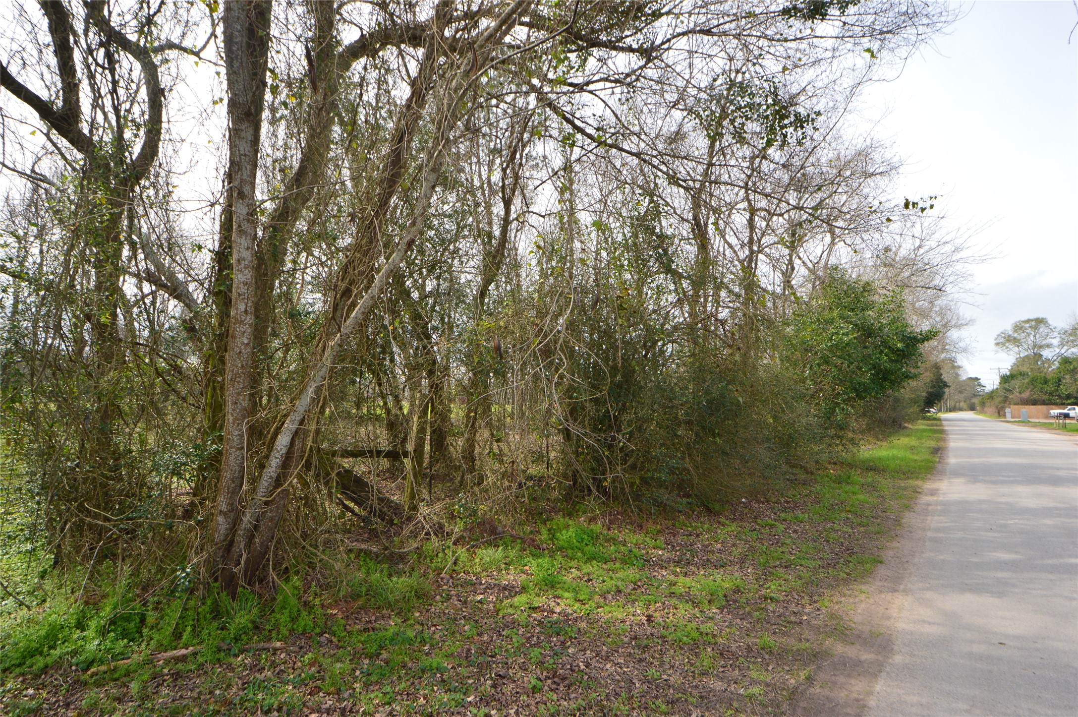 Tbd000 Wiggins Road Conroe, TX 77302 - Photo 4 of 6 a view of a lake with a tree