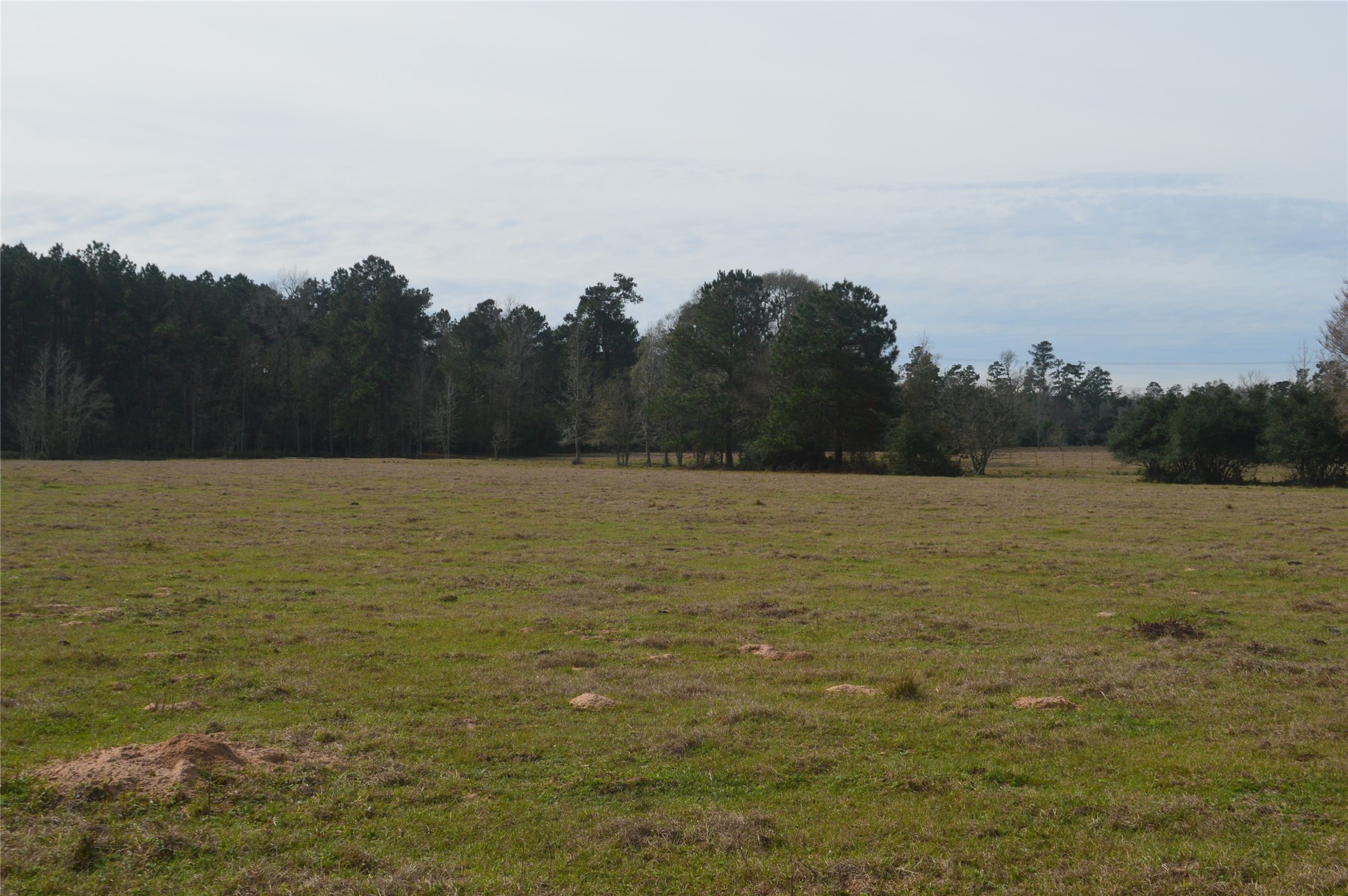 Tbd000 Wiggins Road Conroe, TX 77302 - Photo 5 of 6 a view of a lake view