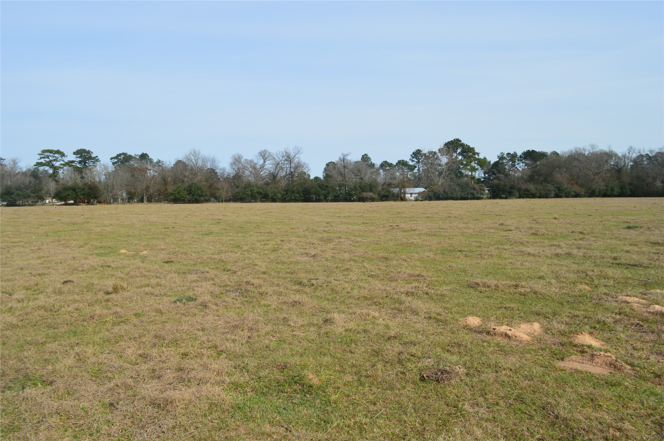 Tbd000 Wiggins Road Conroe, TX 77302 - Photo 6 of 6 a view of an ocean