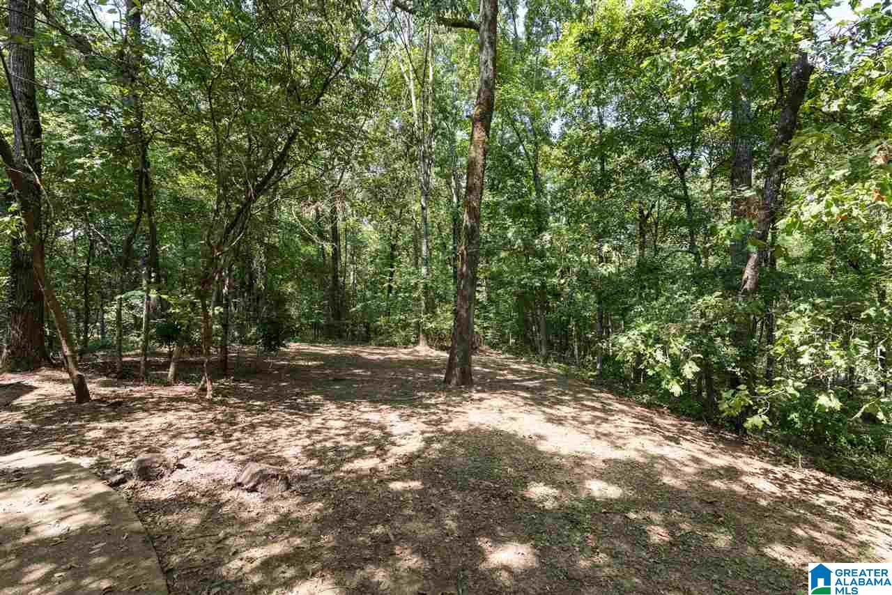 206 Timber Trail Chelsea, AL 35043 - Photo 35 of 36