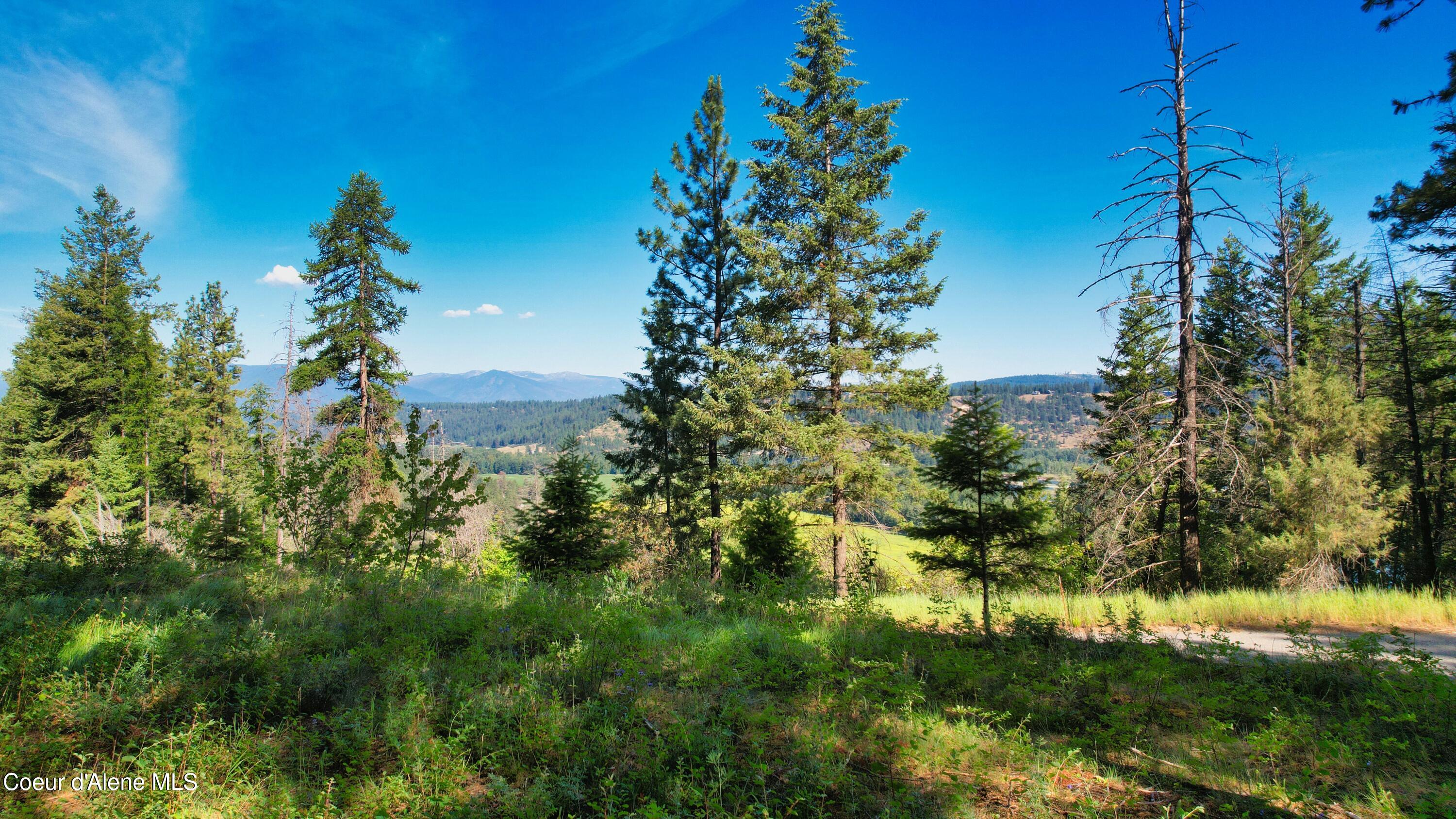 19 Glacier Road Bonners Ferry, ID 83805 - Photo 6 of 17 DJI_0569