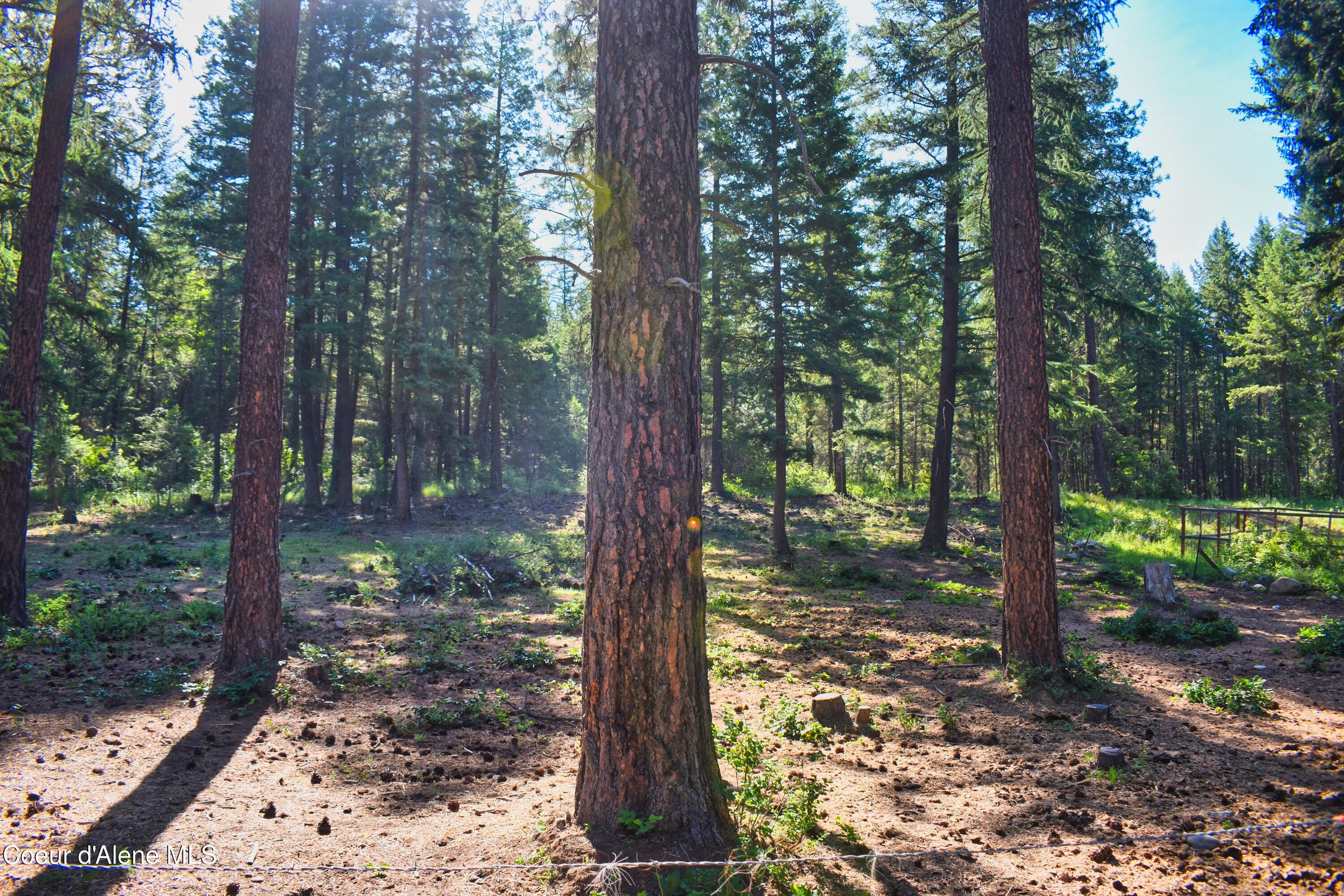 19 Glacier Road Bonners Ferry, ID 83805 - Photo 8 of 17 DSC_5249