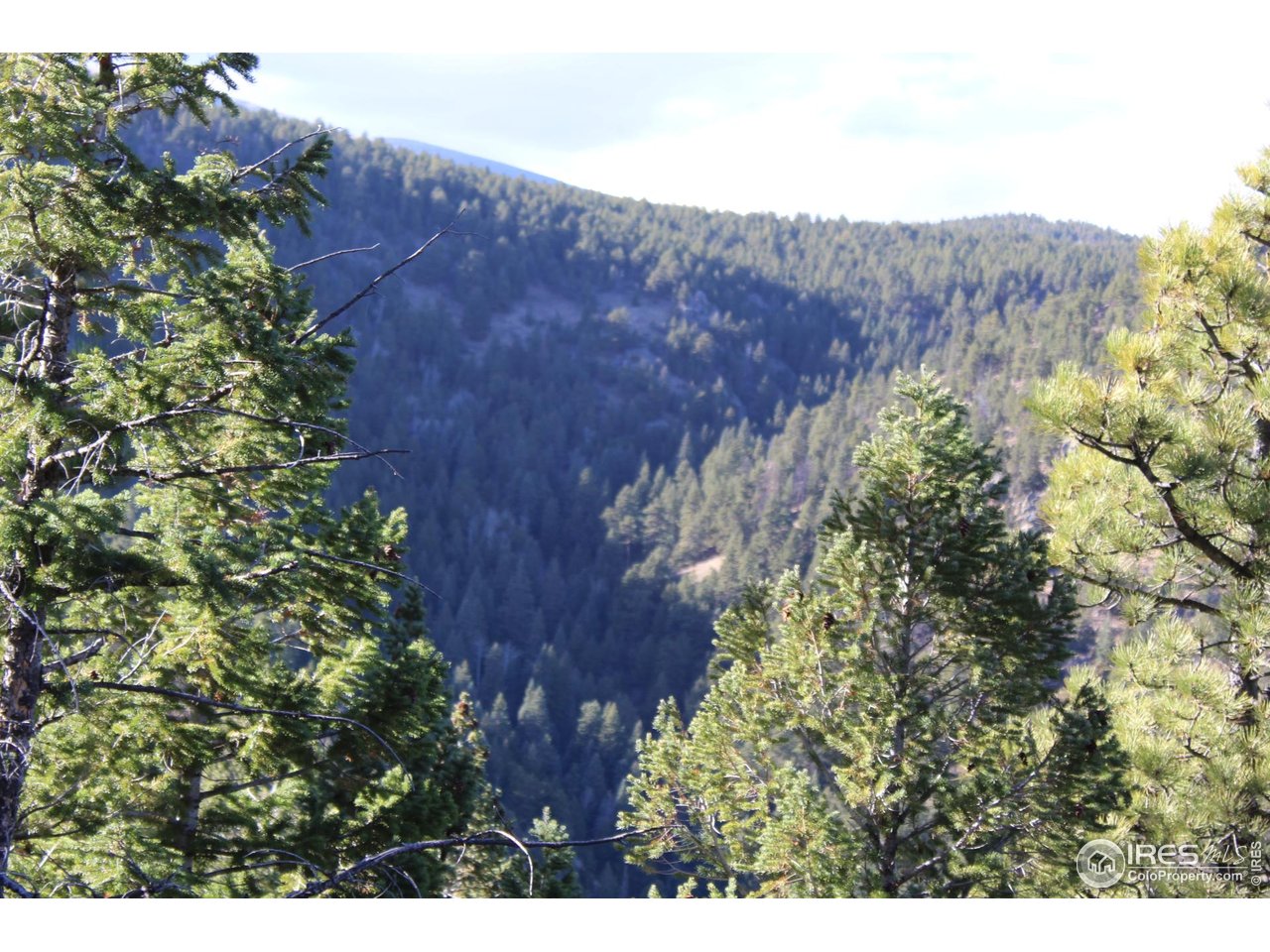 0 Pennsylvania Gulch Road Boulder, CO 80302 - Photo 4 of 18