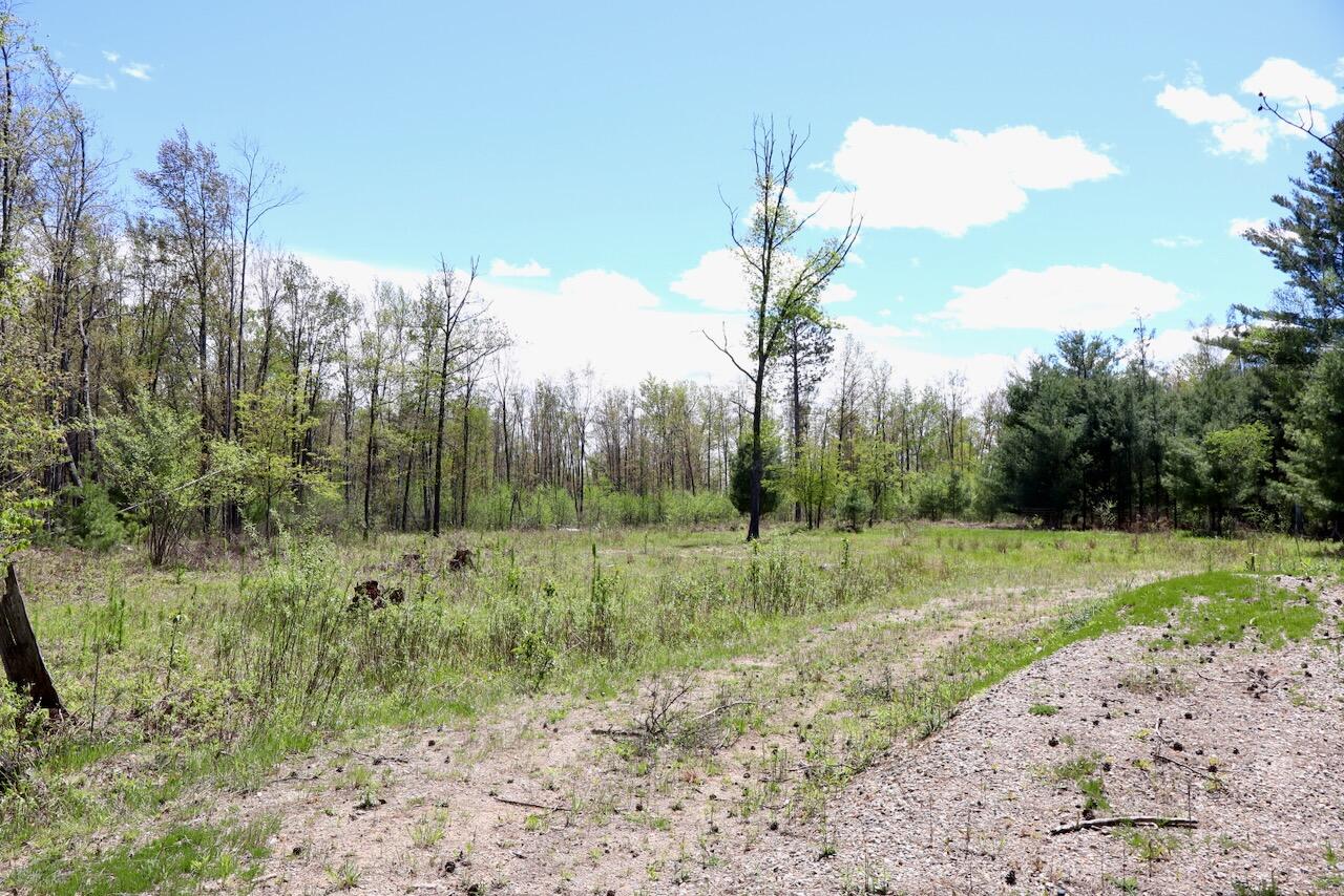 La Grant Road Alger, MI 48610 - Photo 27 of 46 022
