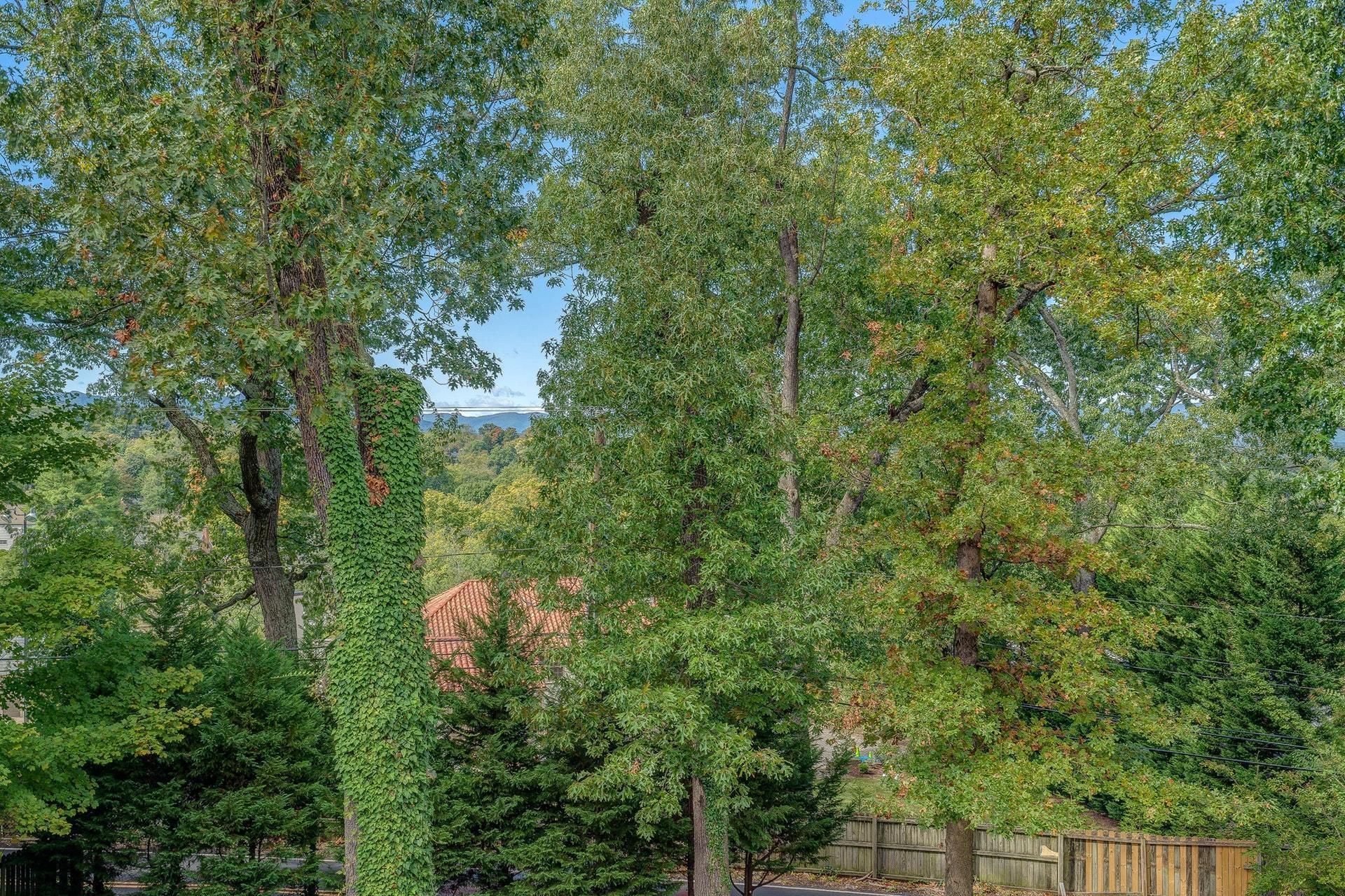 2527 Nottingham Road Southeast Roanoke, VA 24014 - Photo 23 of 38 020-330588-DSC00361_2_3_4_5_8328246