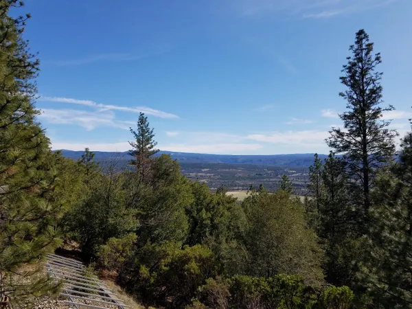 a view of a city with lush green forest