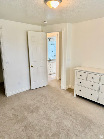 2460 West 450 South, Unit 1 Springville, UT 84663 - Photo 9 of 18