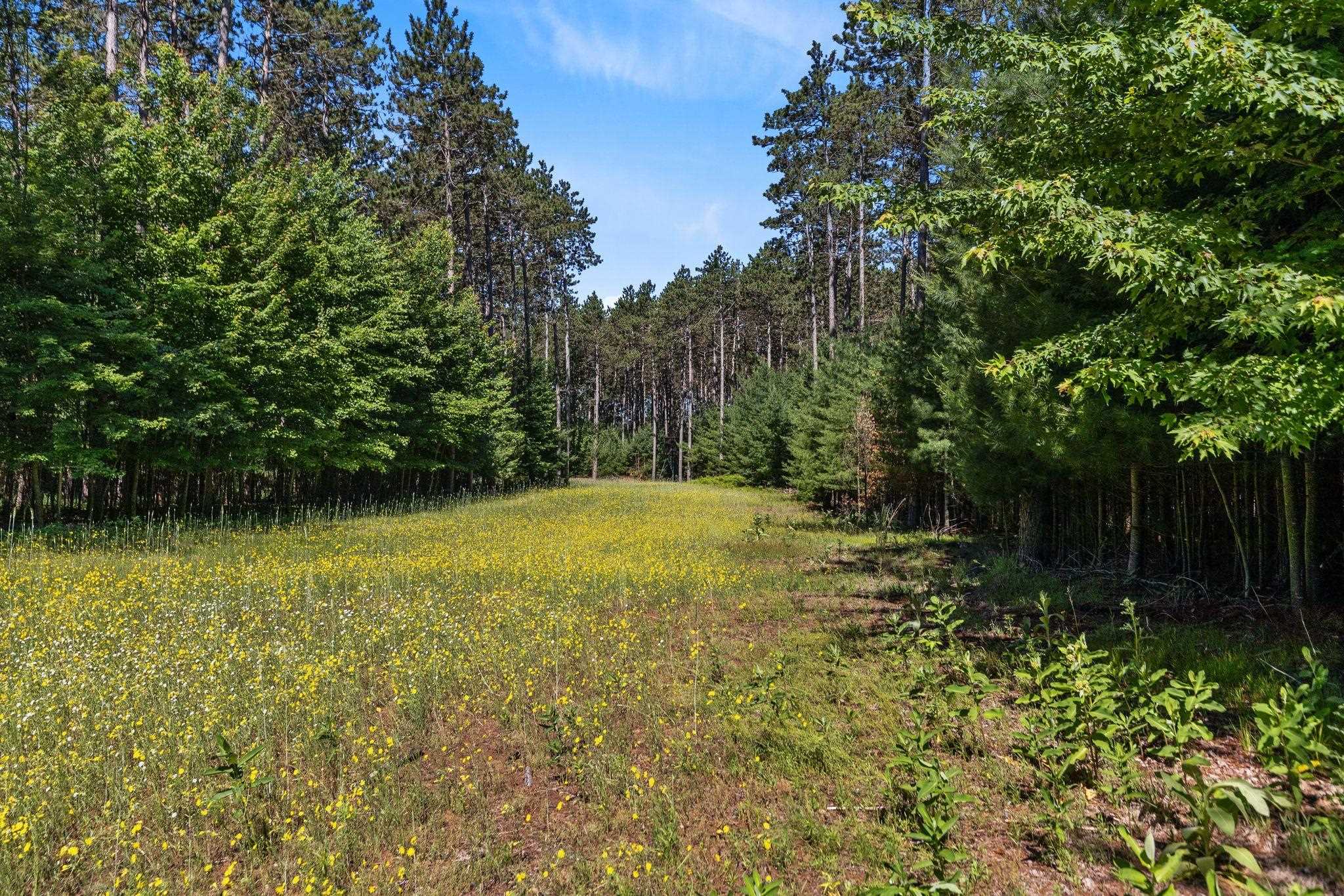 E6889 Guth Road Weyauwega, WI 54983 - Photo 6 of 41