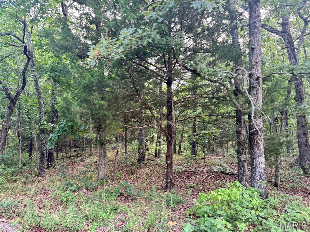 625 Pond Run Road Gerald, MO 63037 - Photo 5 of 10