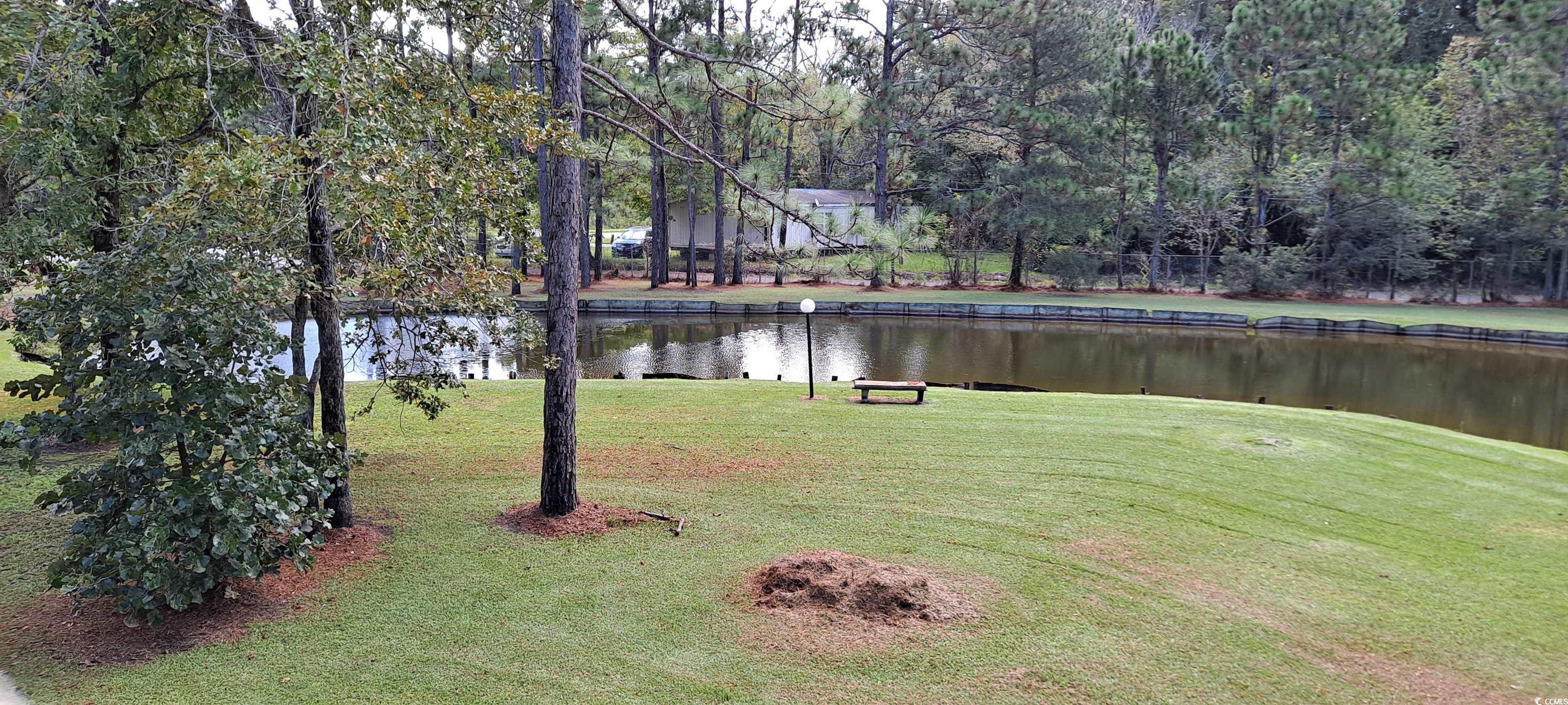 7101 Choppee Road Georgetown, SC 29440 - Photo 4 of 39