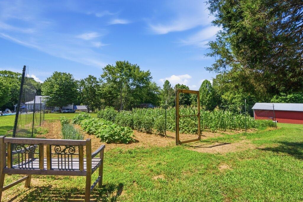 350 Piney Point Road Spring City, TN 37381 - Photo 10 of 82
