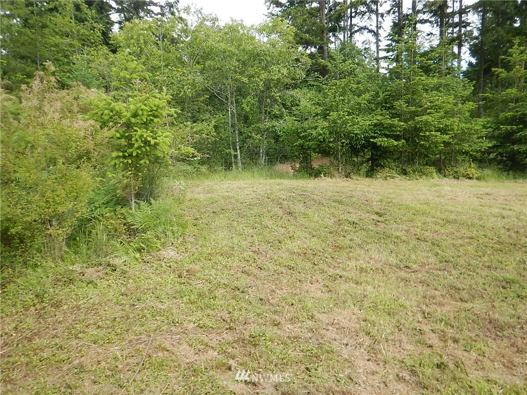 -xxx Julie Road Friday Harbor, WA 98250 - Photo 14 of 17 Gallery Image 14