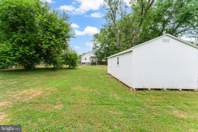 a view of a backyard with potted plants and large trees