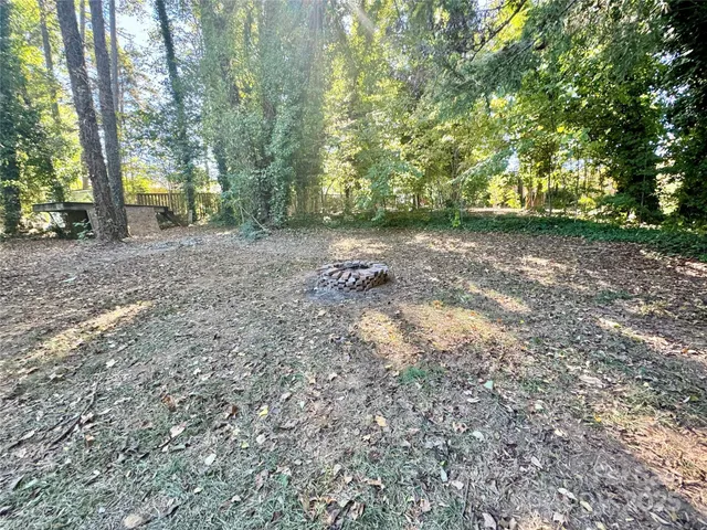 a view of a yard with a tree